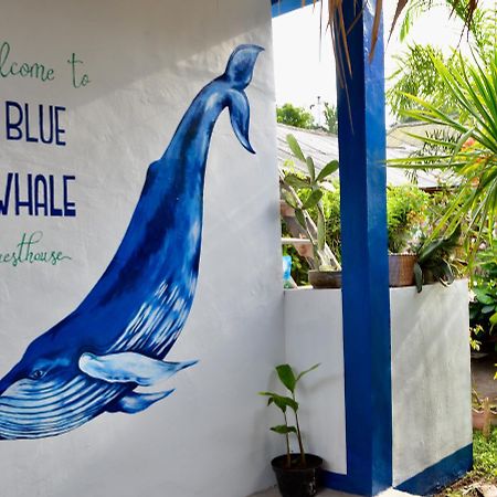 Blue Whale Guesthouse Gili Trawangan Zewnętrze zdjęcie