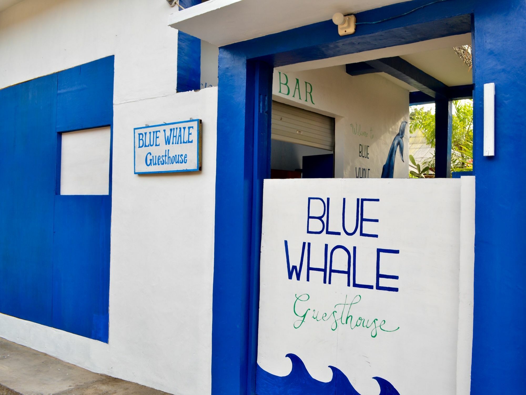 Blue Whale Guesthouse Gili Trawangan Zewnętrze zdjęcie